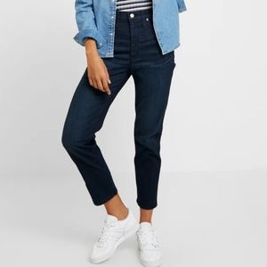 Madewell Plus Straight Jeans in Dark Birchland